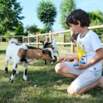 Camping Seasonova Haliotis - Bild 16