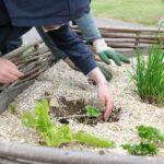 Camping Seasonova Ile De Ré - Bild 6