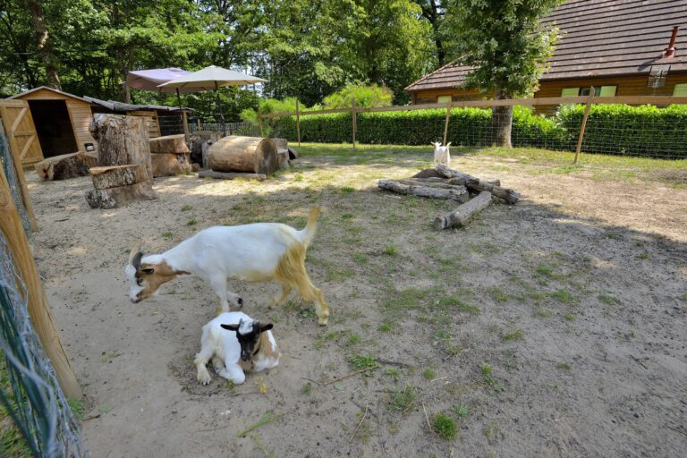 Camping Seasonova L'étang De La Vallée - Bild 7 Camping Seasonova L'étang De La Vallée - Bild 7