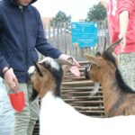 Camping Seasonova Saint-michel - Bild 8