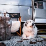 Camping Seiser Alm - Bild 20