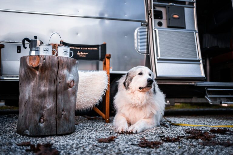 Camping Seiser Alm - Bild 20