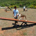 Camping Slatina - Bild 14