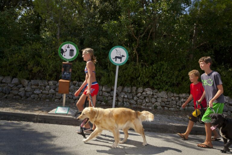 Camping Slatina - Bild 16