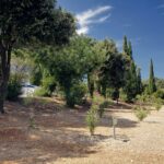 Camping Solitudo - Bild 16