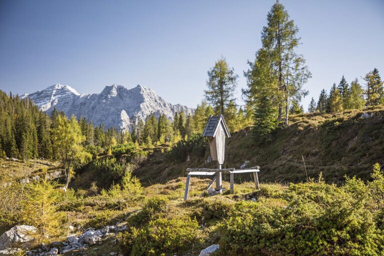 Camping Steinplatte Waidring - Bild 1 Camping Steinplatte Waidring - Bild 1