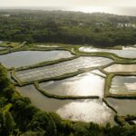 Camping Sunêlia Le Petit Bois - Bild 3