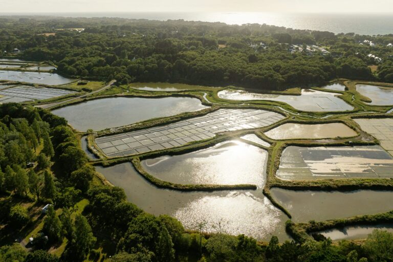 Camping Sunêlia Le Petit Bois - Bild 3