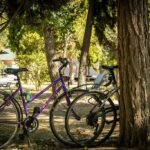 Camping Sunêlia Ma Prairie - Bild 14 Camping Sunêlia Ma Prairie - Bild 14