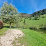 Camping Tariche - Bild 10