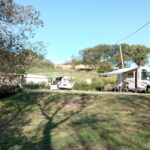 Camping Tenuta Tredici Ulivi - Bild 2 Camping Tenuta Tredici Ulivi - Bild 2