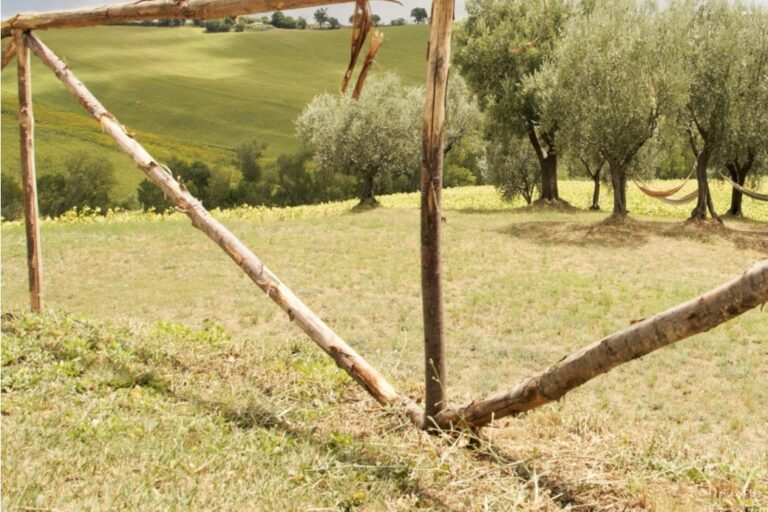 Camping Tenuta Tredici Ulivi - Bild 8 Camping Tenuta Tredici Ulivi - Bild 8