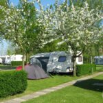 Camping Ter Leede - Bild 3