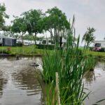 Camping Ter Leede - Bild 4