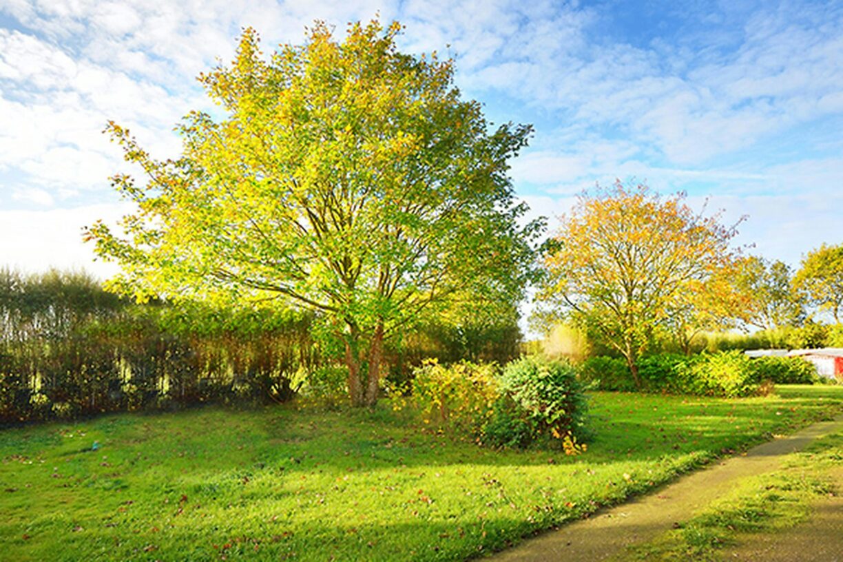 Camping Tohapi Le Phare D`opale - Bild 5 Camping Tohapi Le Phare D`opale - Bild 5