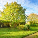 Camping Tohapi Le Phare D`opale - Bild 5 Camping Tohapi Le Phare D`opale - Bild 5