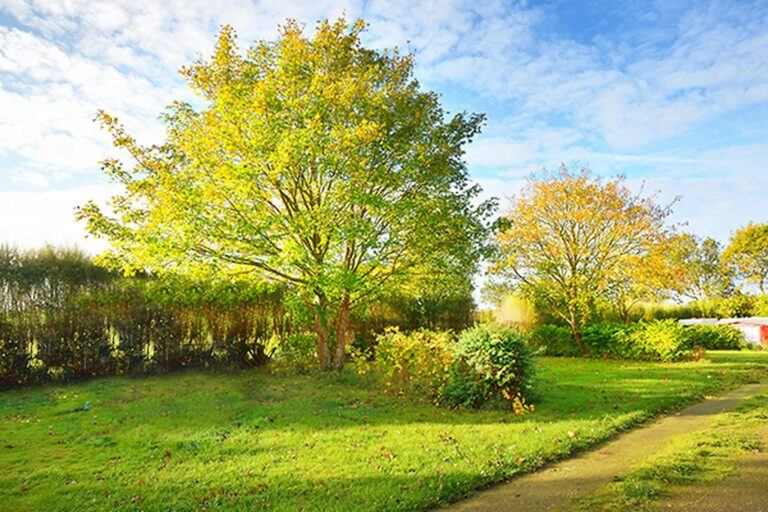 Camping Tohapi Le Phare D`opale - Bild 5 Camping Tohapi Le Phare D`opale - Bild 5
