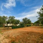 Camping Ugljan Resort - Bild 10