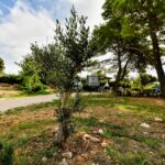 Camping Ugljan Resort - Bild 12