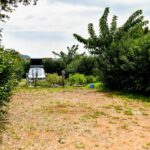 Camping Ugljan Resort - Bild 9