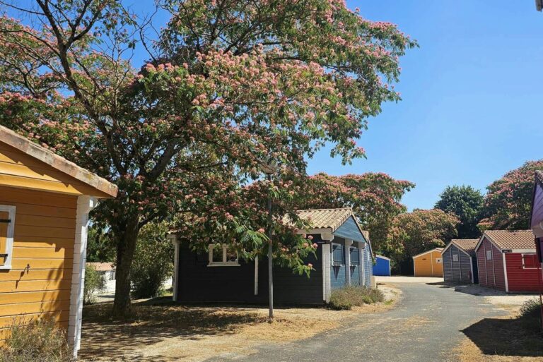 Camping Ushuaïa Village Les Chalets De Moulière - Bild 14