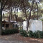 Adriano Family Collection - Bild 1