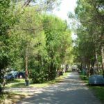 Camping Village Belvedere Pineta - Bild 9