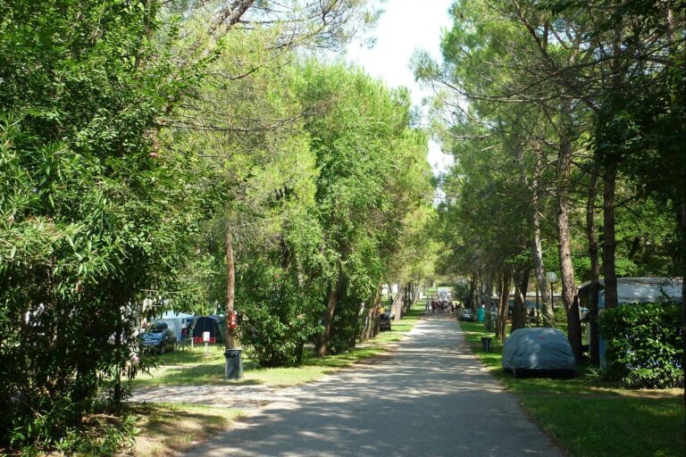 Camping Village Belvedere Pineta - Bild 9