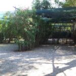 Camping Village International - Bild 10 Camping Village International - Bild 10