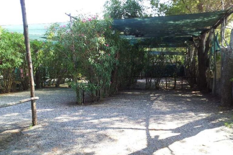 Camping Village International - Bild 10 Camping Village International - Bild 10