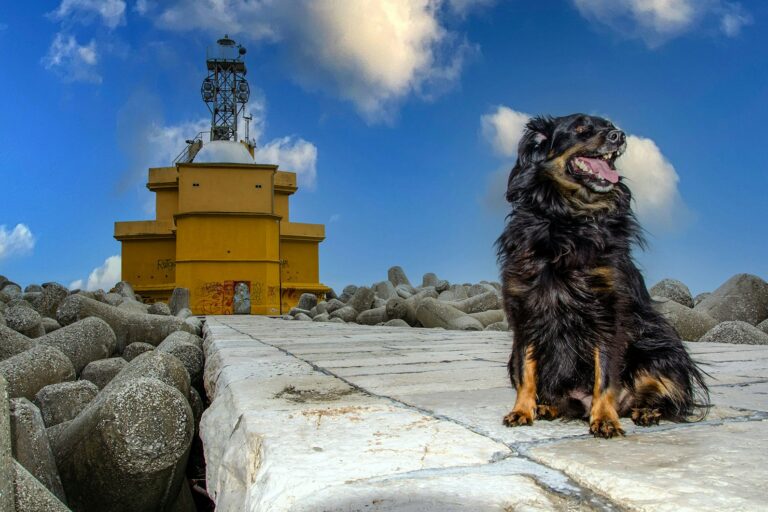 Camping Village Miramare - Bild 12 Camping Village Miramare - Bild 12