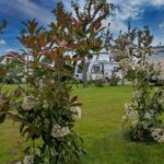 Camping Village Miramare - Bild 6 Camping Village Miramare - Bild 6