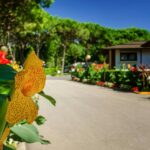 Camping Village Miramare - Bild 9 Camping Village Miramare - Bild 9