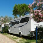 Camping Village Pino Mare - Bild 3