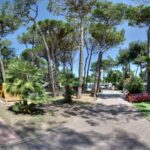 Camping Village Pino Mare - Bild 5