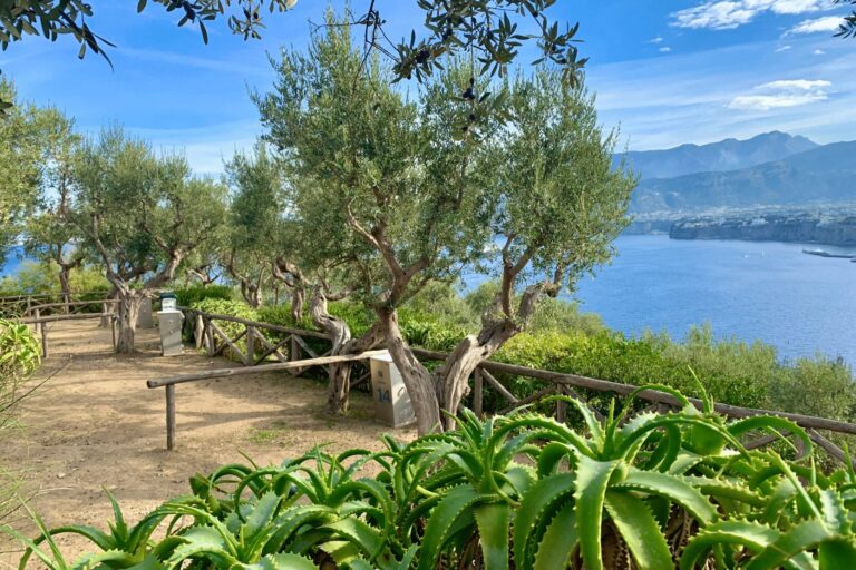 Camping Village Santa Fortunata - Bild 3 Camping Village Santa Fortunata - Bild 3