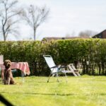 Camping Vinkenhof - Bild 12