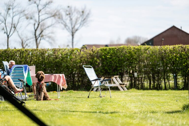 Camping Vinkenhof - Bild 12