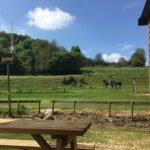 Camping Vinkenhof - Bild 20