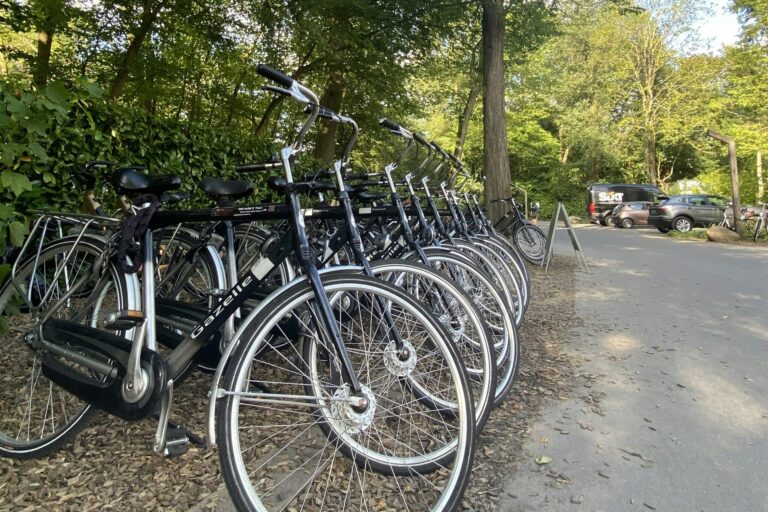 Camping Vliegenbos - Bild 13