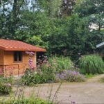 Camping Vliegenbos - Bild 15