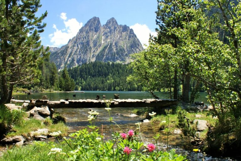 Camping Voraparc - Bild 1 Camping Voraparc - Bild 1