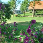 Camping Vorrelveen - Bild 8 Camping Vorrelveen - Bild 8