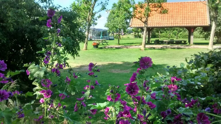 Camping Vorrelveen - Bild 8 Camping Vorrelveen - Bild 8