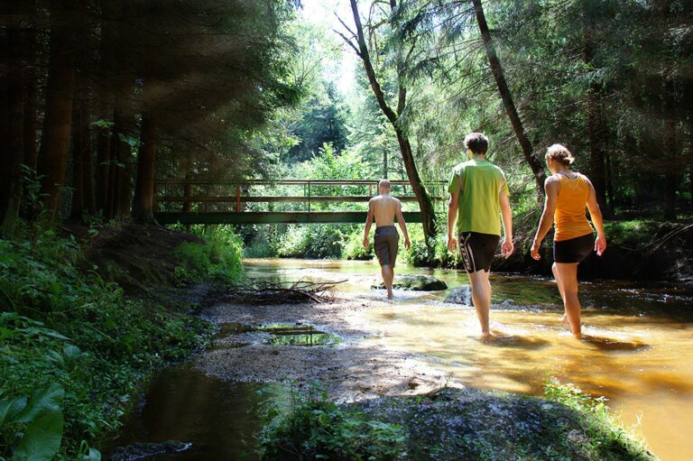 Camping Waldviertel - Bild 16