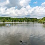 Sperrfechter Freizeitpark - Bild 1 Sperrfechter Freizeitpark - Bild 1