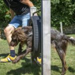 Camping 't Schinkel - Bild 13