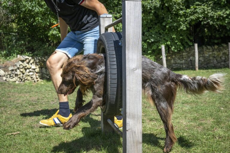 Camping 't Schinkel - Bild 13