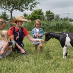 Camping 't Weergors - Bild 16