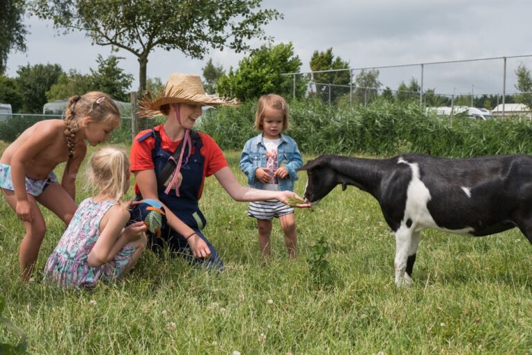 Camping 't Weergors - Bild 16